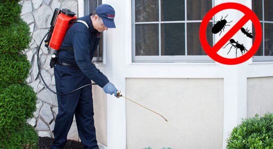 Tepebaşı Kene İlaçlama böcek ilaçlama ve haşere kontrolü — ilaclama-tr.com